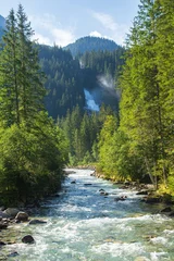 Selbstklebende Fototapete Waldfluss Gebirgsfluss im Wald mit Wasserfall