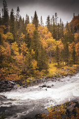 Autumnal river landscape