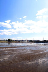水を入れた早春の田圃風景