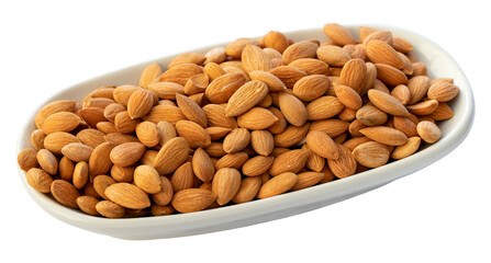 Apricot kernel isolated on white background.