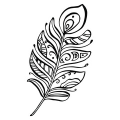 Obraz premium Bird feather from wing isolated. Isolated illustration element. Vector feather for background, texture, wrapper pattern, frame or border.
