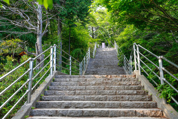 長い階段の先に新倉富士浅間神社