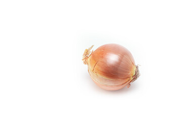 Golden onion, on a white background