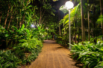 Footpath through the greenery in Roma street parkland, Brisbane, Australia