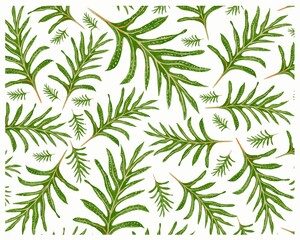 Illustration Background of Microsorum Scolopendria, Phymatosorus Scolopendria, Monarch Fern or Musk Ferns.
 - obrazy, fototapety, plakaty