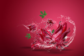Roselle Hibiscus sabdariffa red fruit flower on red background.