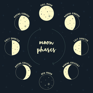 Illustration of moon phases with dark sky and stars vector design color adjustable