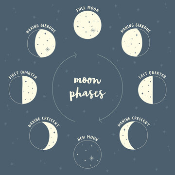 Illustration of moon phases with dark sky and stars