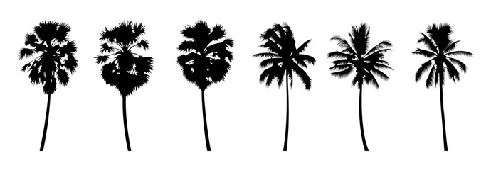 Set of silhouette design of palm trees with black color on isolation style for graphic designer