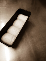 Bread dough in a mold