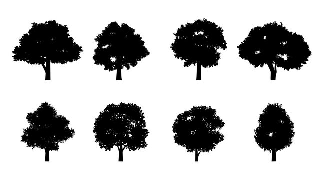Set of silhouette design of trees with black color on isolation style for graphic designer