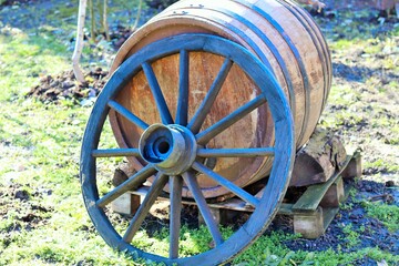 Old barrel and cart wheel as decoration of the old garden 