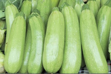 Fresh green zucchini on the counter of the food market 