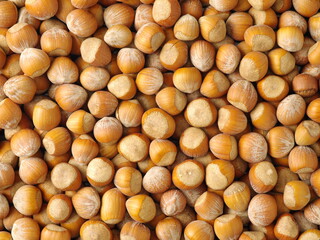 hazelnuts background texture
