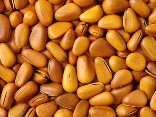 Pine nut background