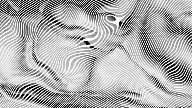 White zebra wave pattern abstract background. White slanting wave pattern fabric style.