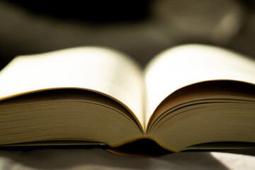 empty book pages