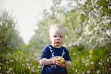 Portrait of a one year old child with an apple, on a background of flowering trees in the garden. Cute baby boy on a walk, outdoors. Healthy snack concept.