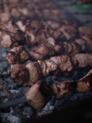 kebabs, campfire food