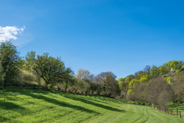 View into a valley near Wiesbaden where spring has already arrived 