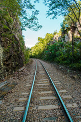 Fototapeta premium railway in the forest