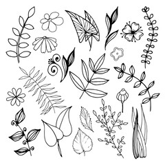Vektorsatz handgezeichnete florale Elemente. Schwarze einfache Blumen und Blätter auf weißem Hintergrund