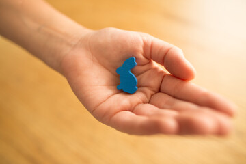 Care and protection of animals. Environmental Conservation