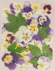 Bouquet of dry flowers on a colored background. For use in floristry, scrapbooking. Country and eco...