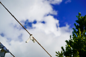 結んだおみくじ