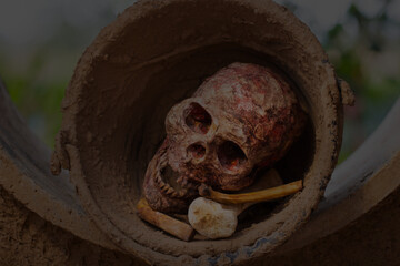 still life of skull in Cement bucket