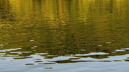The water level in the river, which reflects the green slopes on the opposite bank and the golden rays of the afternoon sun