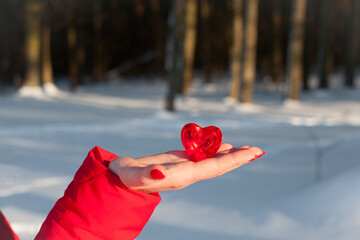 heart in hand. Red heart in a woman's hand, on a white background. girl holding a heart on a background of snow, winter forest, close-up. concepts of love, friendship, romance