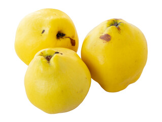 Quince isolated on white background