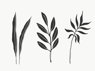 Botanical leaves line art. abstract modern or minimal plants line. perfect for home decor such as posters. vector illustrations design.