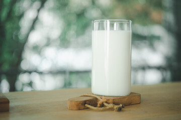 Fresh organic milk in glass