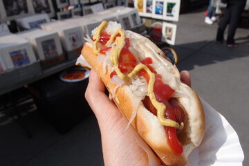 Close-up shot of a hotdog in New York, NY, USA. March 27, 2016.