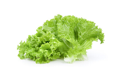 lettuce salad leaves on white background