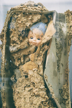 Wasps nests in a child's doll. Box with a baby Creepy doll