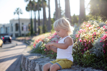 Cute toddler blond boy, sitting on sidewalk next to blooming flowers
