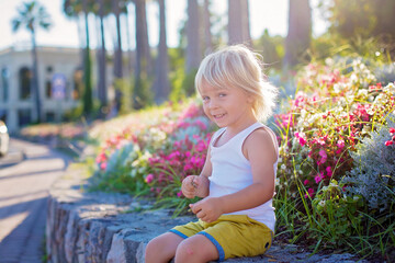 Cute toddler blond boy, sitting on sidewalk next to blooming flowers