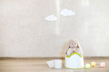 On the potty is a stuffed rabbit in the children's room with decorative clouds and a roll of toilet...