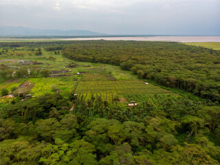Fototapeta na wymiar Aerial view on Farm plantation on the Edge with a Primal Virgin Forest of Manyara National Park Concervation Area in East Africa, Tanzania