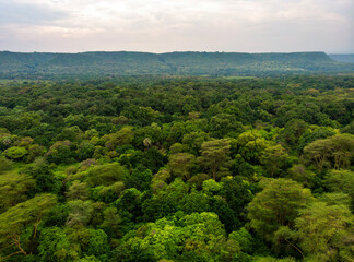 Fototapeta premium Primal Virgin Forest of Manyara National Park Concervation Area in East Africa, Tanzania. Aerial Shot