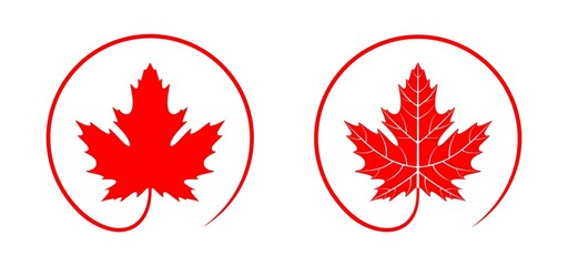 Maple leaf logo. Isolated maple leaf on white background