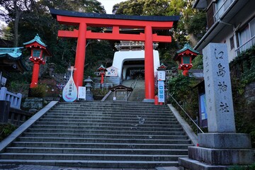 Fototapeta na wymiar Red Torii gate at Enoshima Shrine (Hetsunomiya) in Kanagawa prefecture, Japan- 鳥居 江島神社 神奈川県 日本