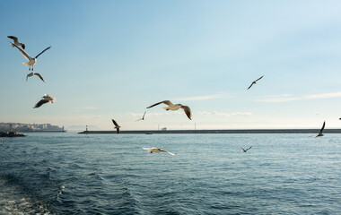 Panoramic Istanbul Bosphorus. Turkey. Romantic Istanbul Sunset Landscape