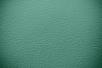 Green Italian leather texture. Green leather background with pattern