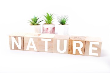 sign on a wooden background. The word "nature" front wooden block on white background and decorative tree
