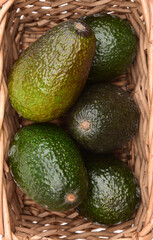 Avocado background