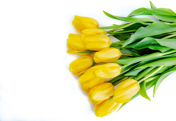 The bouquet of yellow tulips against white background